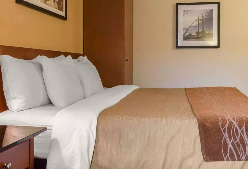 酒店 Comfort Inn Airport