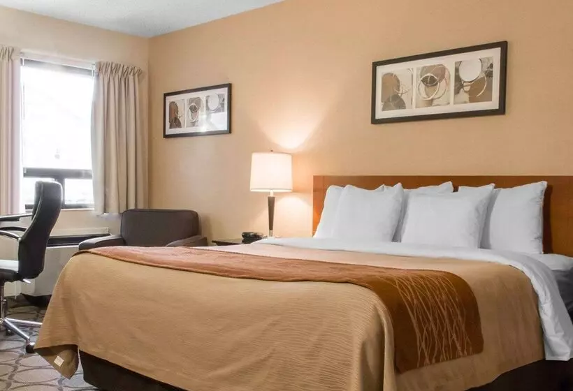 酒店 Comfort Inn Airport