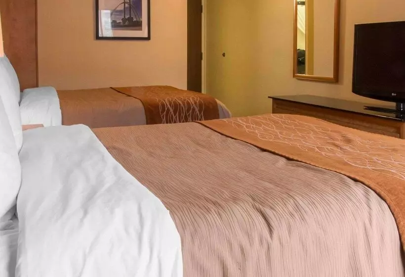 酒店 Comfort Inn Airport