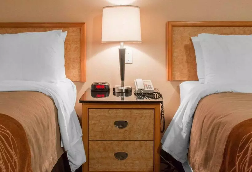 酒店 Comfort Inn Airport