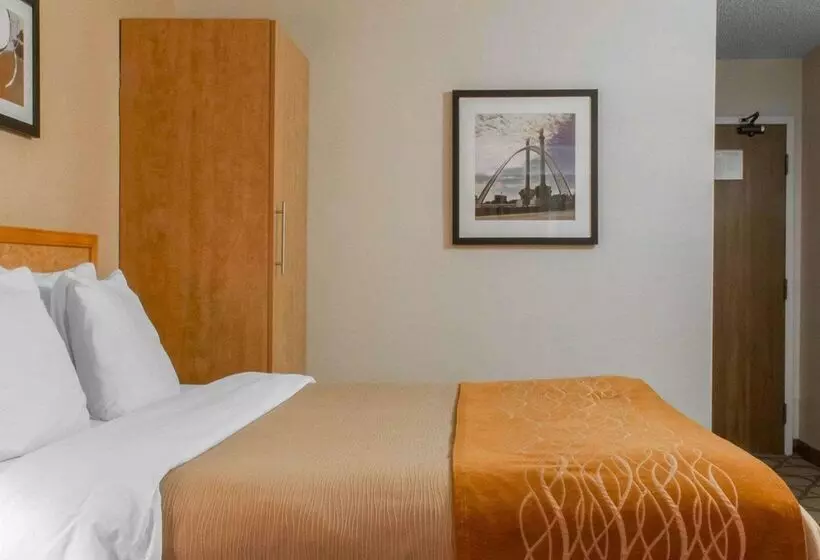 酒店 Comfort Inn Airport