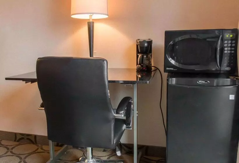 酒店 Comfort Inn Airport