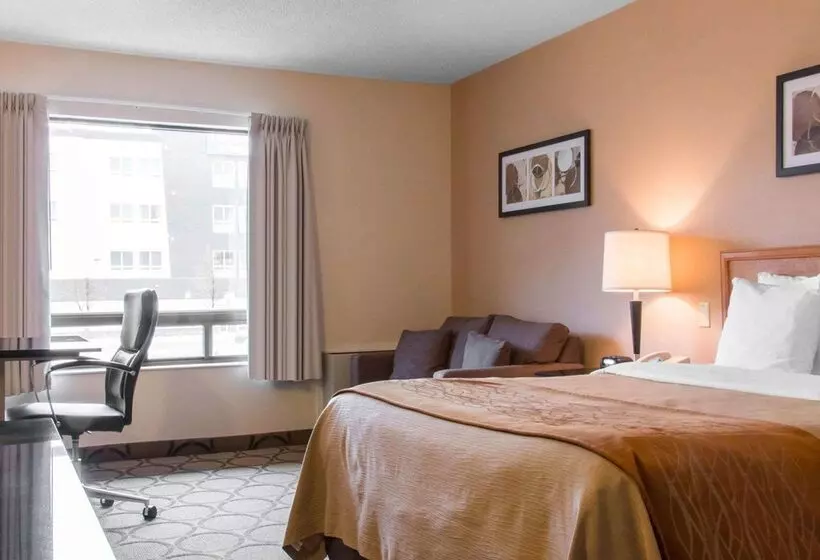 酒店 Comfort Inn Airport