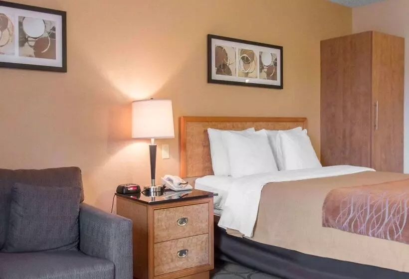 酒店 Comfort Inn Airport