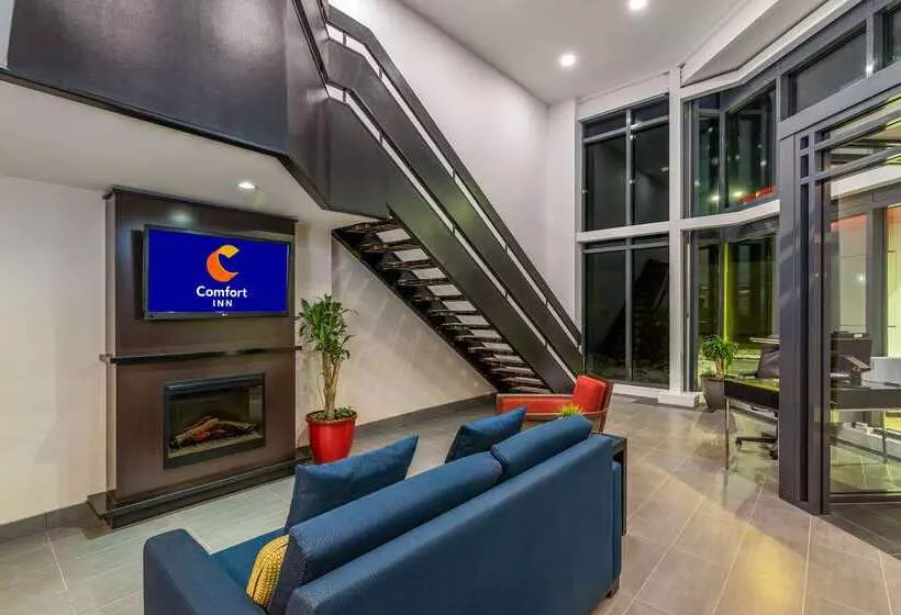 酒店 Comfort Inn Airport