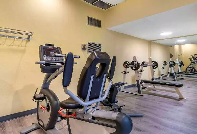 فندق Comfort Inn & Suites Seattle North