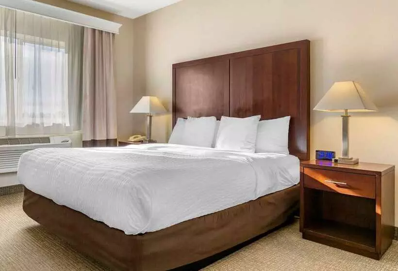 فندق Comfort Inn & Suites Seattle North