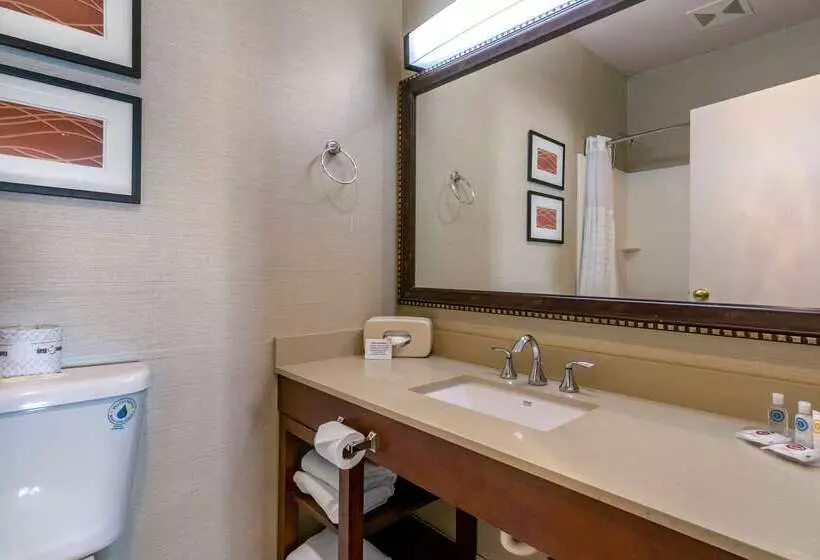 فندق Comfort Inn & Suites Seattle North