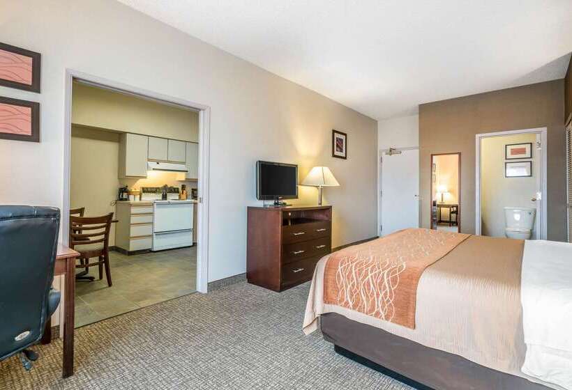 هتل Comfort Inn & Suites Seattle North