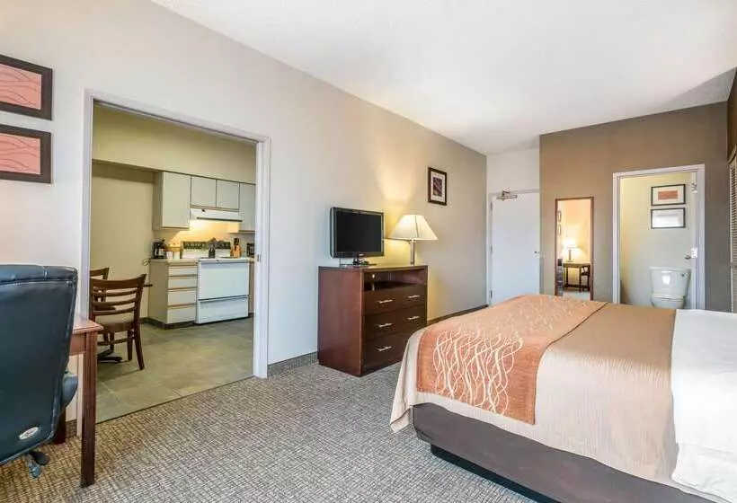 فندق Comfort Inn & Suites Seattle North