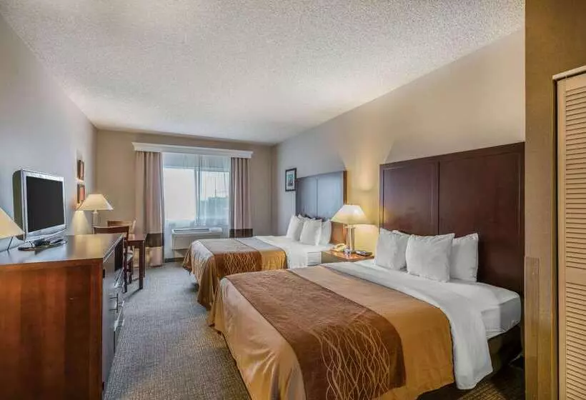 فندق Comfort Inn & Suites Seattle North