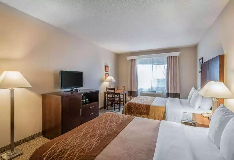 فندق Comfort Inn & Suites Seattle North