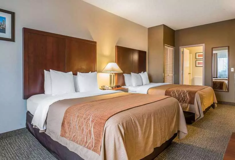 فندق Comfort Inn & Suites Seattle North