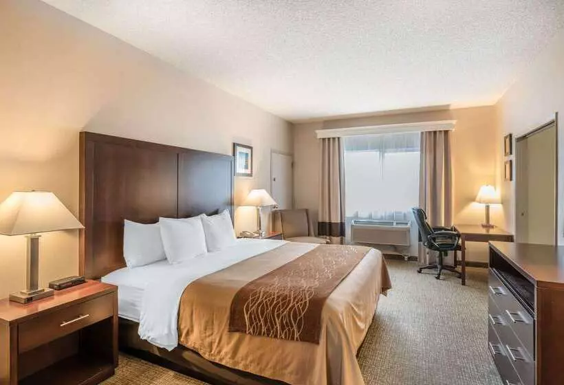 فندق Comfort Inn & Suites Seattle North