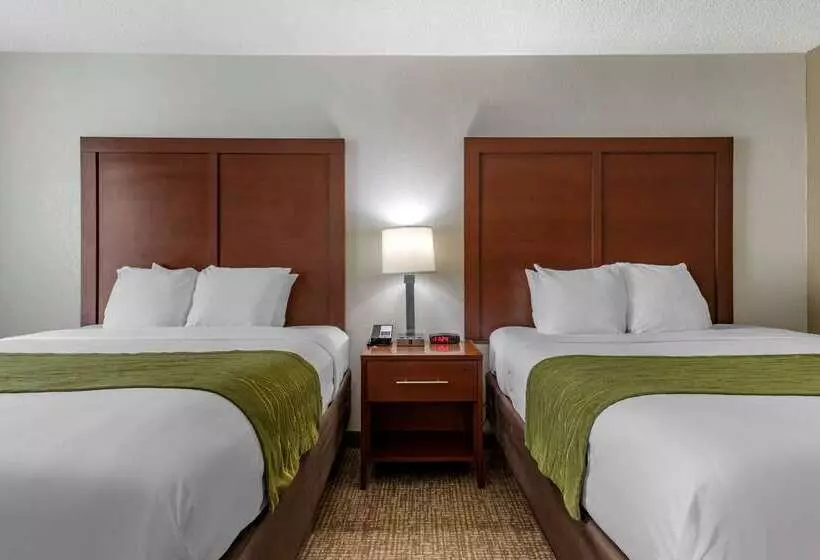 ホテル Comfort Inn