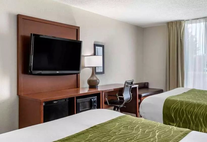 ホテル Comfort Inn