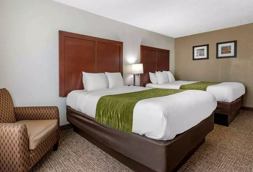 ホテル Comfort Inn