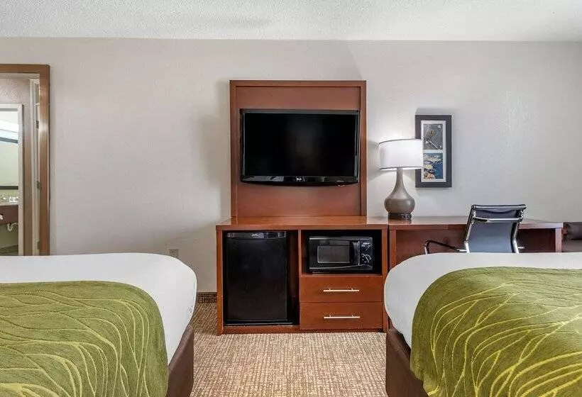 ホテル Comfort Inn