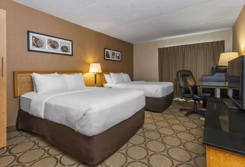 酒店 Comfort Inn West