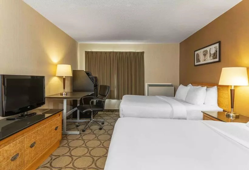 酒店 Comfort Inn West