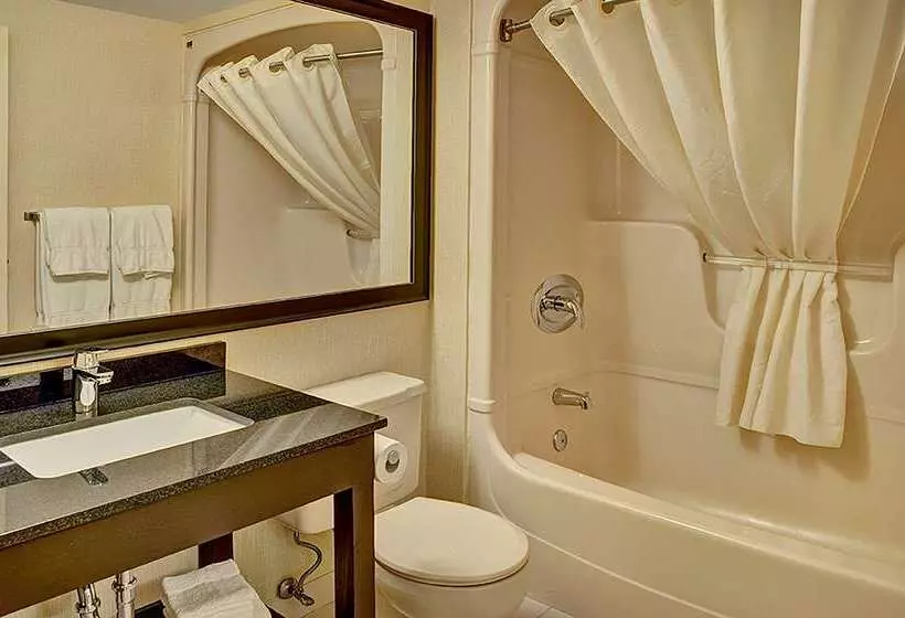 酒店 Comfort Inn West