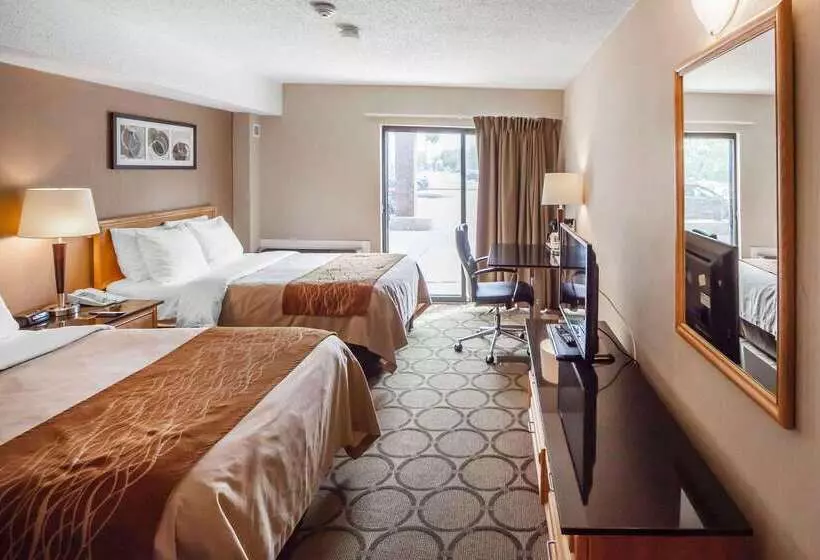 酒店 Comfort Inn West