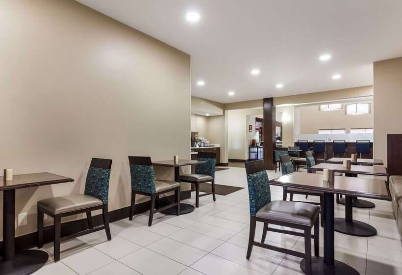 호텔 Comfort Suites