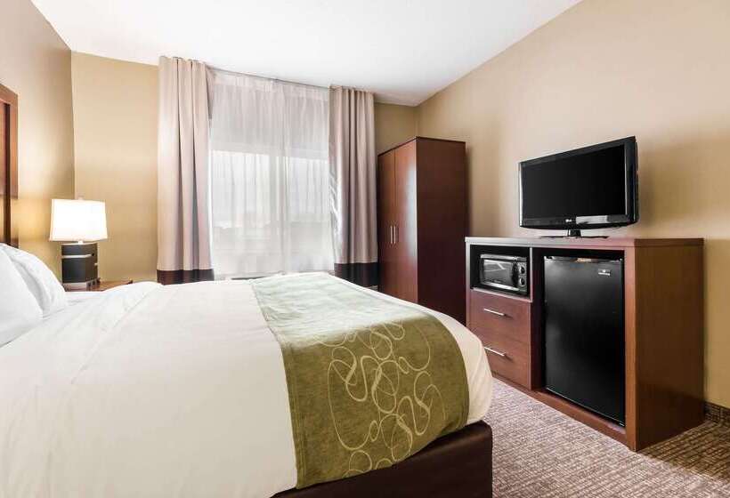 호텔 Comfort Suites