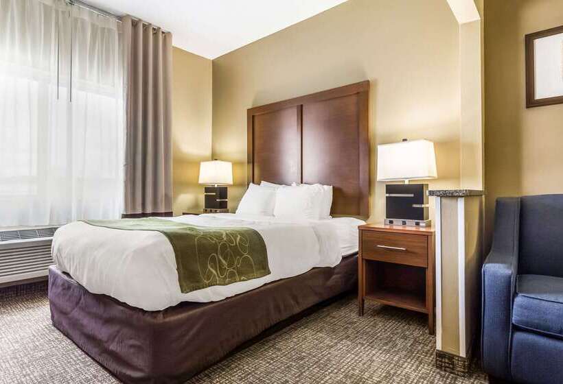 호텔 Comfort Suites