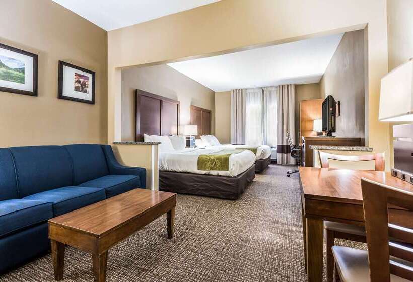 호텔 Comfort Suites