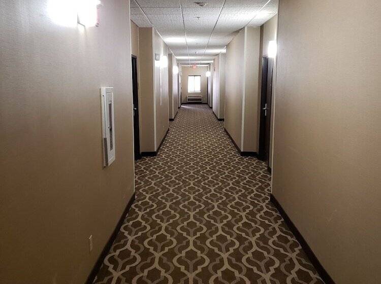 호텔 Comfort Suites