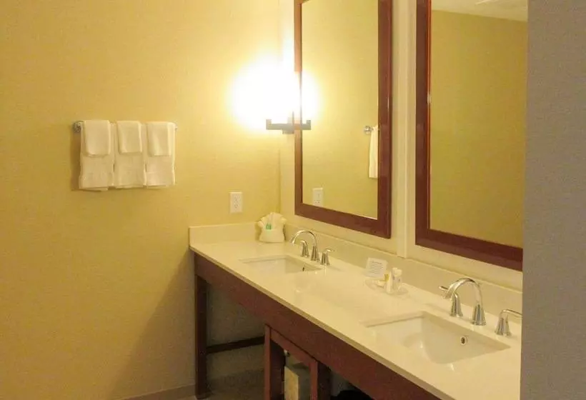 בית מלון כפרי Comfort Suites