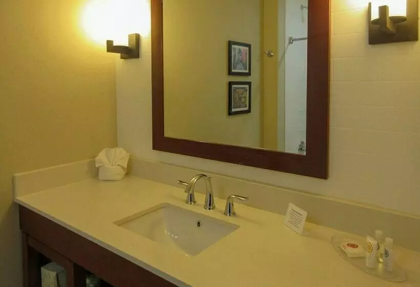 בית מלון כפרי Comfort Suites