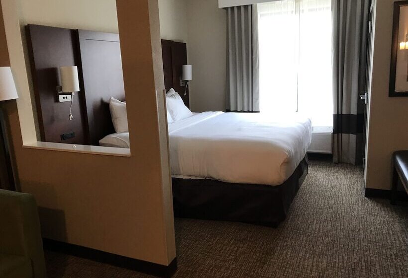 فندق Comfort Suites