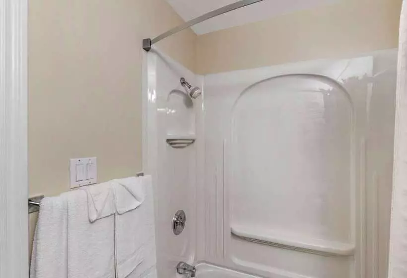 בית מלון כפרי Econo Lodge