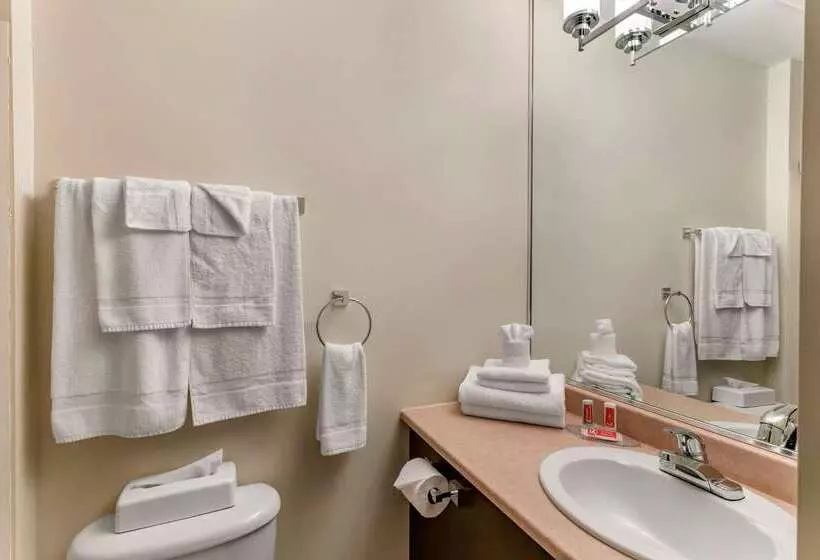 בית מלון כפרי Econo Lodge