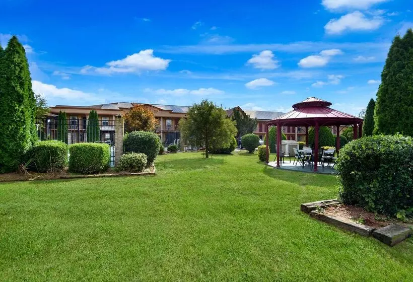 Отель Econo Lodge