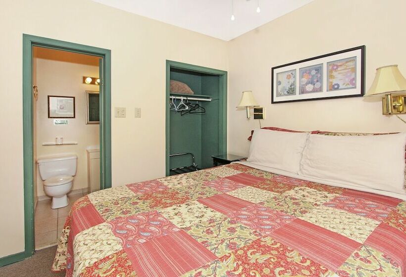 هتل Gower Guest House