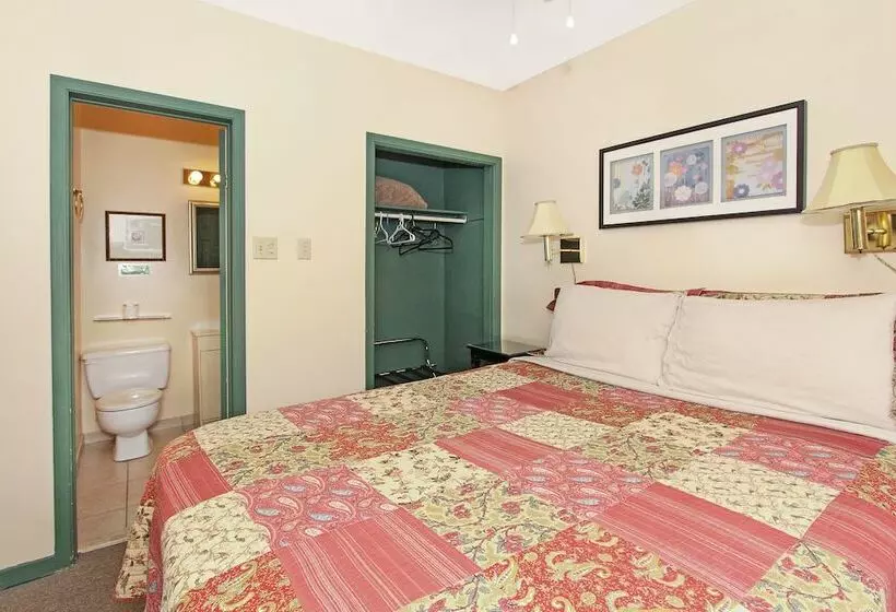 ホテル Gower Guest House