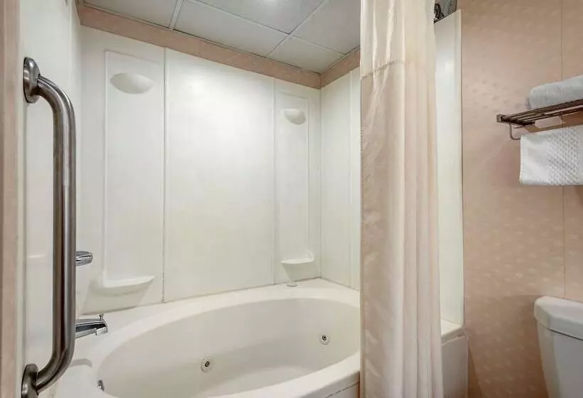 酒店 Quality Inn Montgomeryvillephiladelphia