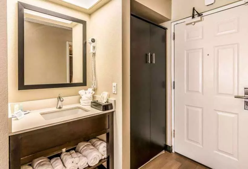 ホテル Quality Inn