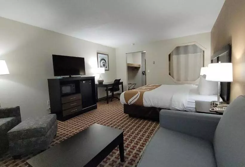 ホテル Quality Inn & Suites
