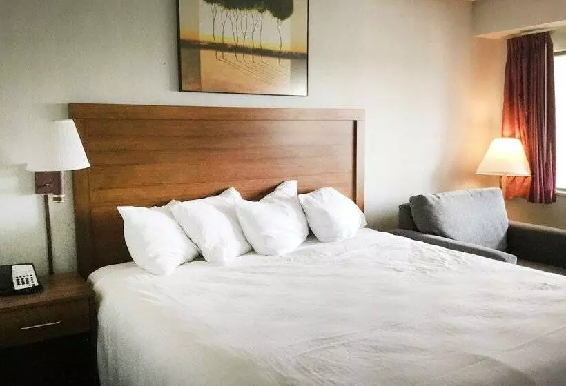 酒店 Super 8 By Wyndham Petoskey