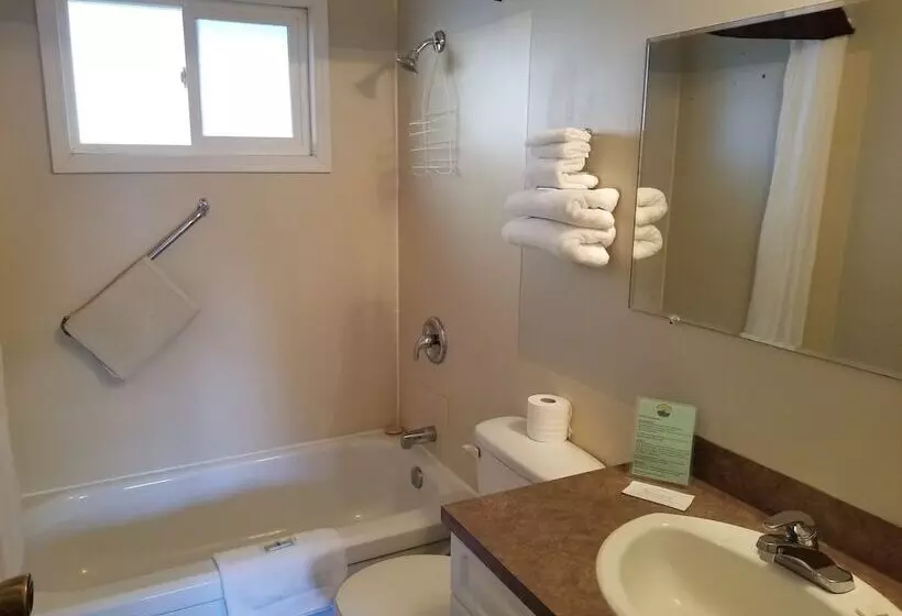 Lakeview Motel & Suites