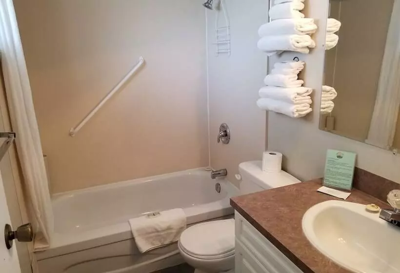 Lakeview Motel & Suites