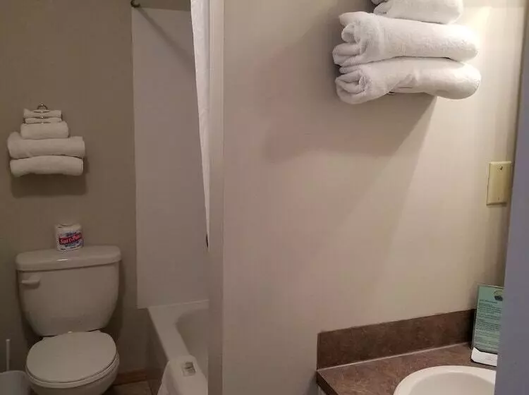 Lakeview Motel & Suites