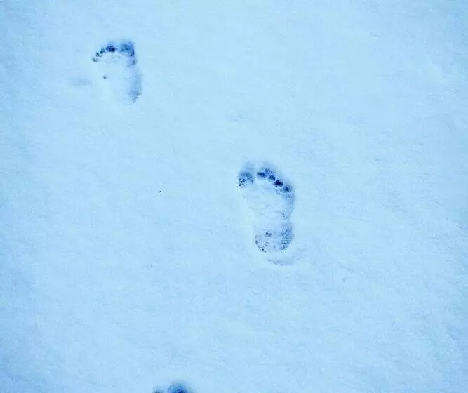 מוטל Barefoot Villas And Retreat