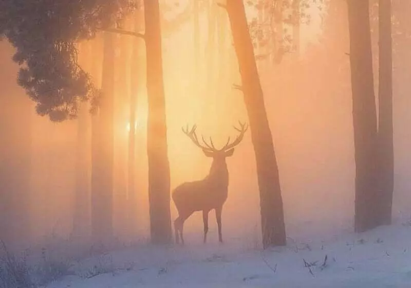 מוטל Barefoot Villas And Retreat