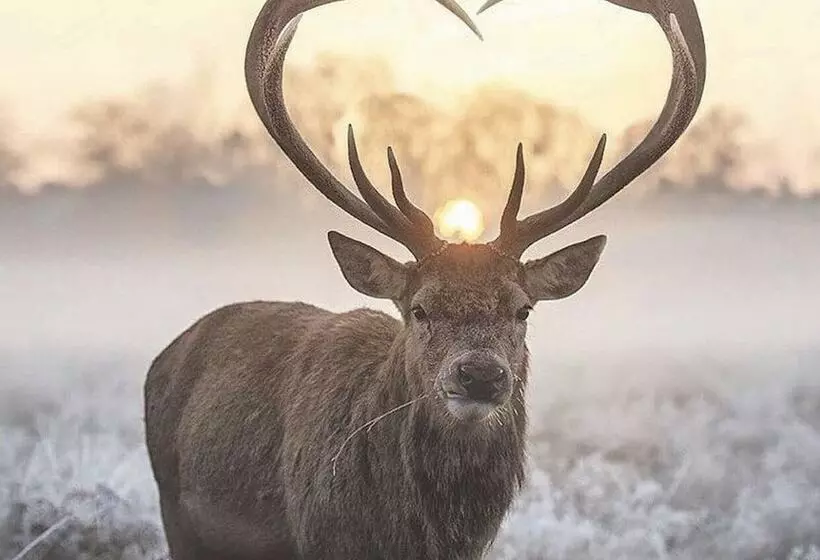 מוטל Barefoot Villas And Retreat