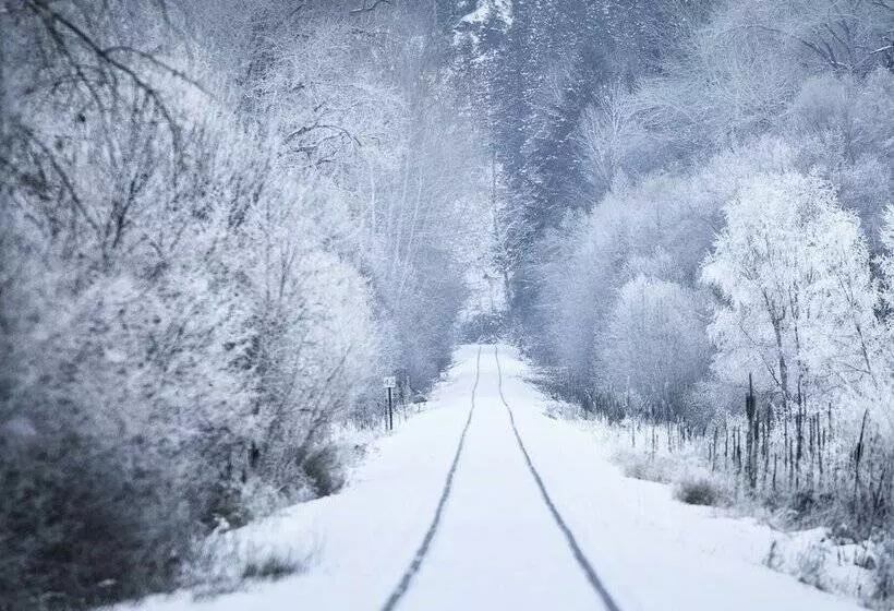 מוטל Barefoot Villas And Retreat
